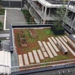 Campus
